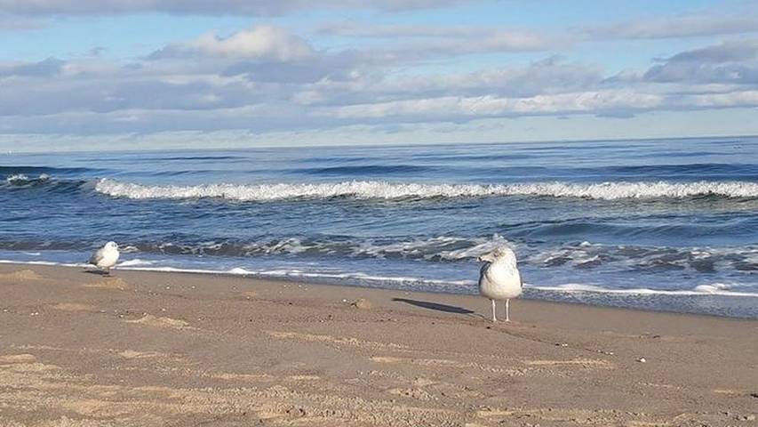 Ferienwohnung für 2 Personen, mit Balkon, mit Haustier in Lobbe - 2