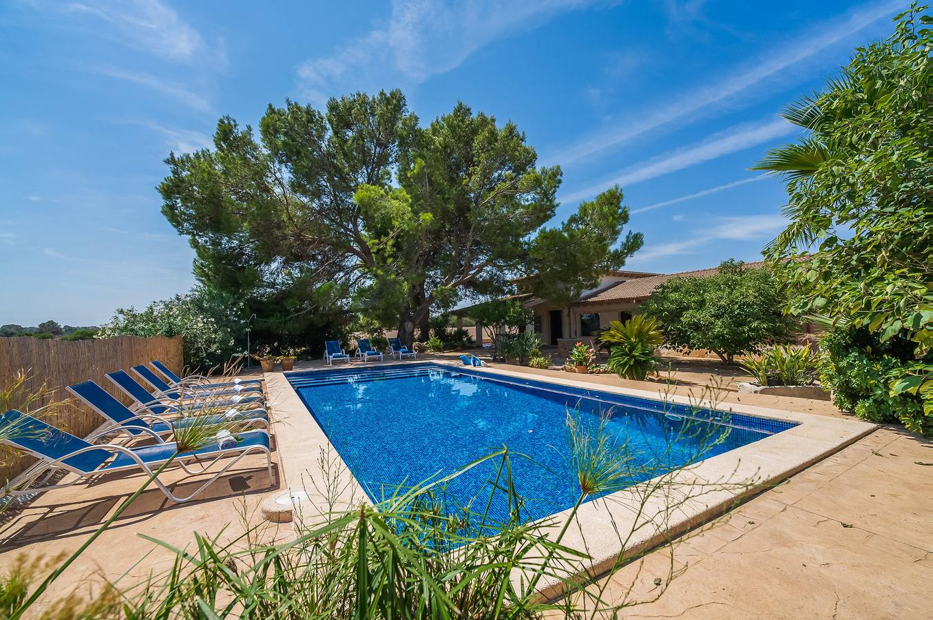 Can Ribas in Santa Margalida, Mallorca Norden