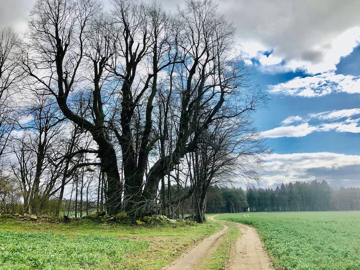 Ferienwohnung für 8 Personen in Prignitz - 2
