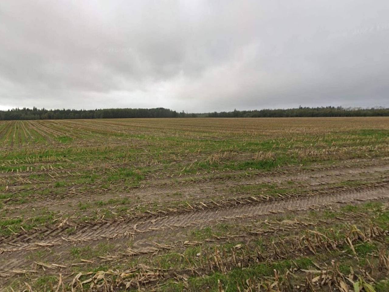 5 Sterne Ferienhaus in Hovborg in Hovborg, Vejen