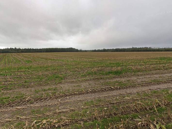 Ferienhaus für 4 Personen, mit Balkon und Garten, kinderfreundlich in Südjütland - 3