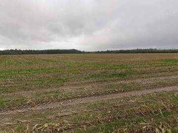 Ferienhaus für 4 Personen in Vejen, Südjütland, Bild 4