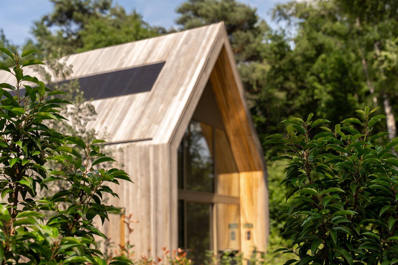 Woodz Lodges — Lodge | 6 personnes in Heusden-Zolder, Région de Hasselt