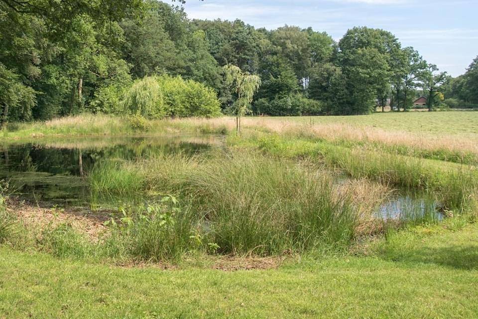 Kom in de Bedstee Magie! in Winterswijk, Achterhoek