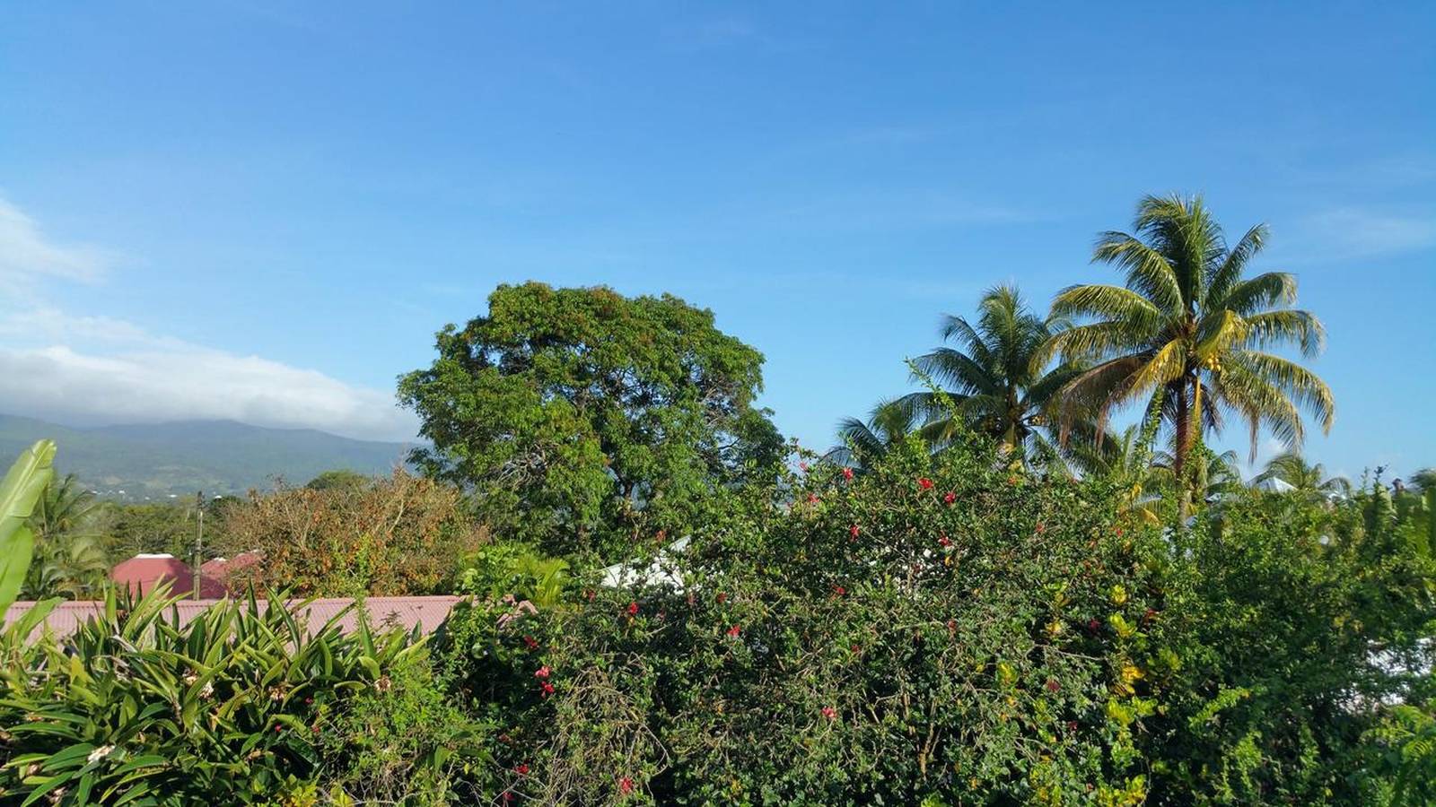 Entire apartment, Cozy apartment in Lamentin 30 m² with mountain view in Lamentin, Guadeloupe (Caribbean)
