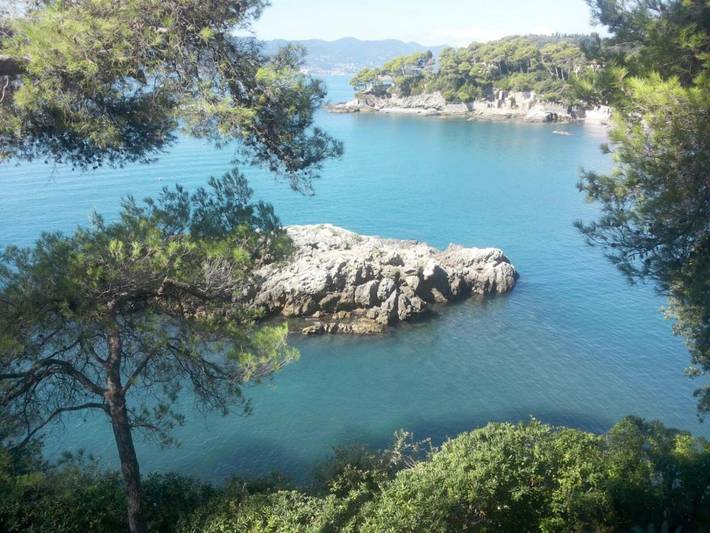 Location de vacances pour 12 personnes, avec vue et jardin, animaux acceptés à Tellaro - 4