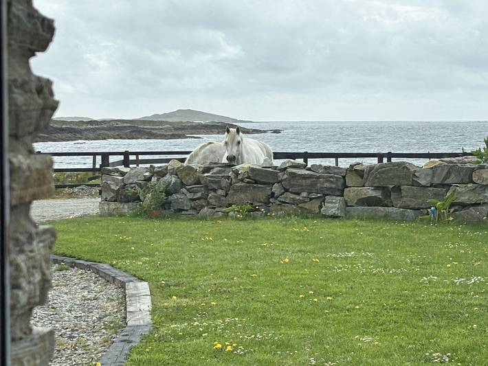 Holiday rental for 4 people in County Galway