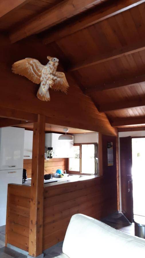 Gîte pour 5 personnes, avec jardin et vue, animaux acceptés à Rendeux - 3