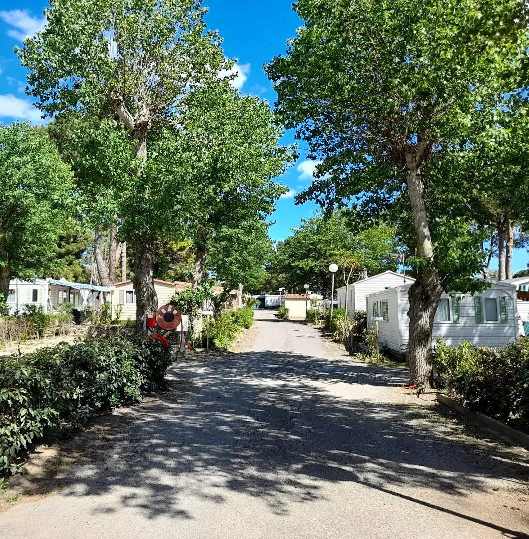 Mobil-Home 4 Pièces 6 Personnes Climatisé in Agde, Côte d'Améthyste