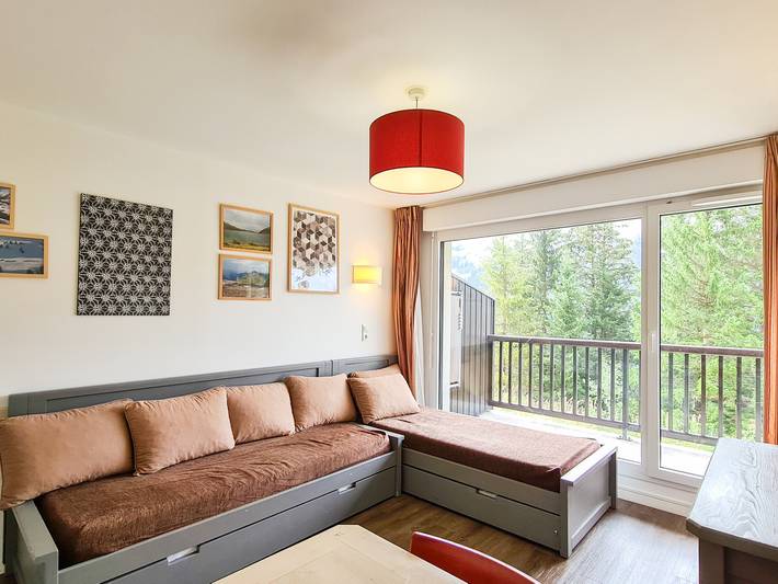 Chalet voor 4 personen, met huisdier in Flaine