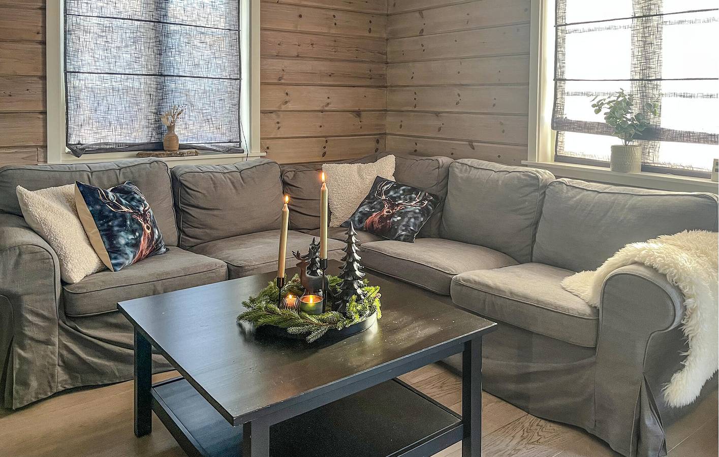 Feriehus for 8 personer med hage in Hovden, Bykle 