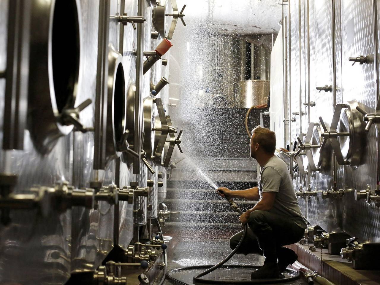 Ganze Ferienwohnung, Ferienwohnung 1a - Ferienwohnung 1a in Hambach (Neustadt), Neustadt an der Weinstraße