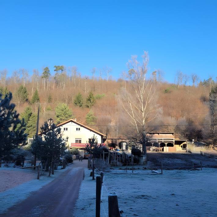 Gîte équestre de la vallée, en pleine forêt, avec ânes in Soucht, Sarreguemines
