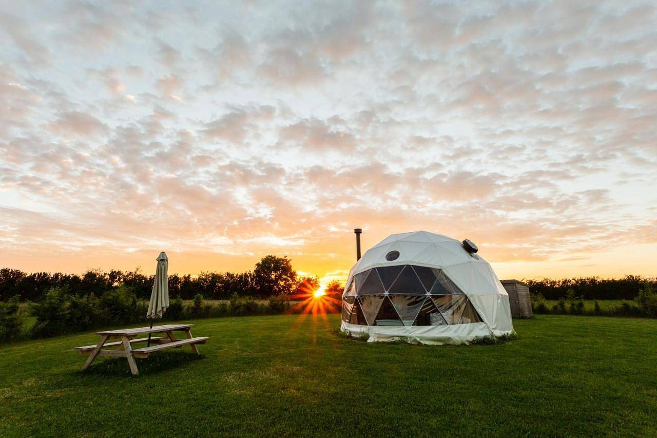 Geodome Glamping in Somerset in Othery, Somerset