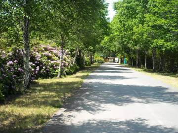 Bungalow pour 5 Personnes dans Lacanau, Région de Lesparre-Médoc, Photo 3