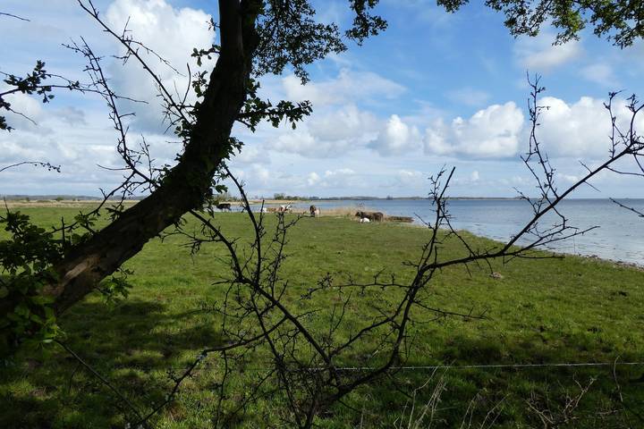 Ferienhaus für 4 Personen, mit Terrasse und Garten in Schlei - 2