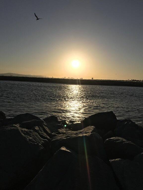 \"California Dreaming\" Sommerzeit ist Strandzeit 🌴 Schritte zum Sand + Disney Close! in Seal Beach, Los Angeles County