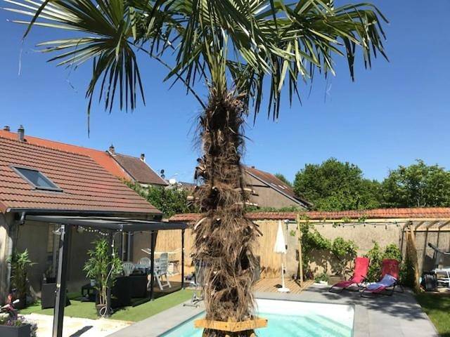 Location de vacances pour 5 personnes, avec piscine ainsi que jacuzzi et jardin, animaux acceptés dans Sarreguemines - 2