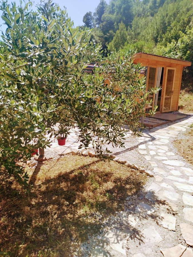Secluded getaway tiny home - Skozanje bay, island Hvar in Gdinj, Hvar