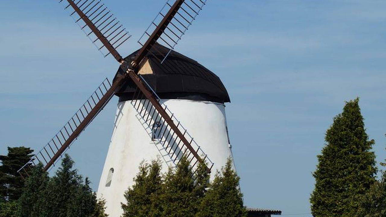 Ferienhaus für 9 Personen (185 m²) in Wittingen in Wittingen, Landkreis Gifhorn