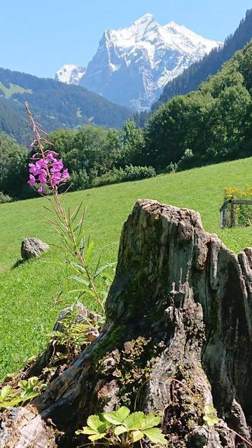 Vakantiehuis voor 6 Personen in Grindelwald, Westerse Alpen, Afbeelding 2