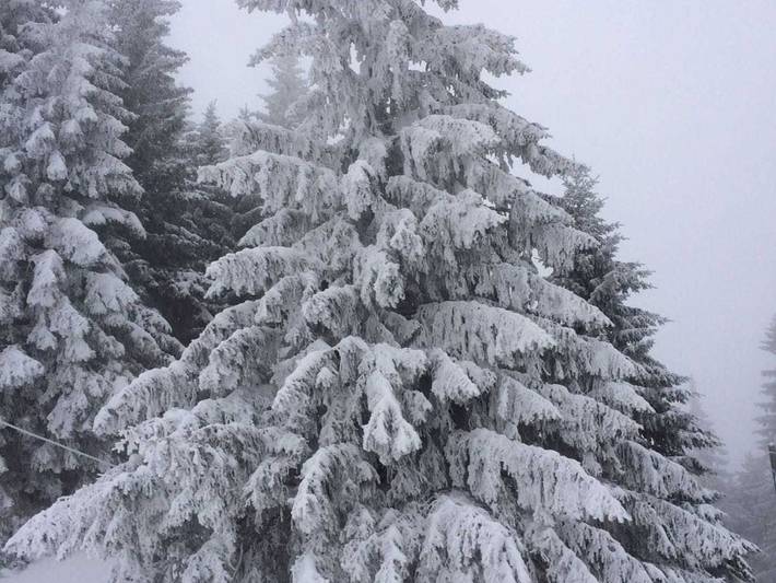 Ferienwohnung für 4 Personen, mit Ausblick und Garten sowie Balkon in Nesselwängle