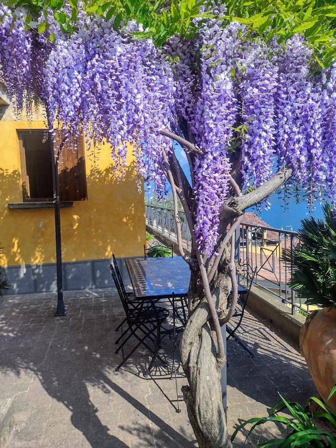 Location de vacances pour 4 personnes, avec vue sur le lac et vue ainsi que balcon et jardin à Monte Isola - 4