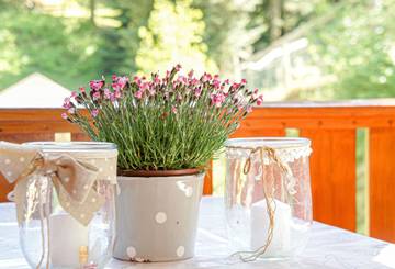 Glamping voor 6 Personen in Oberkirch, Baden-Württemberg, Afbeelding 3