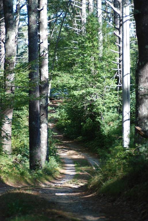 Vacation rental for 6 people, with terrace in Plymouth (MA)