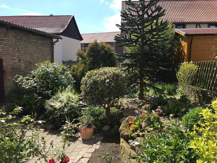 Ferienhaus für 6 Personen, mit Terrasse und Garten in Blankenburg - 2