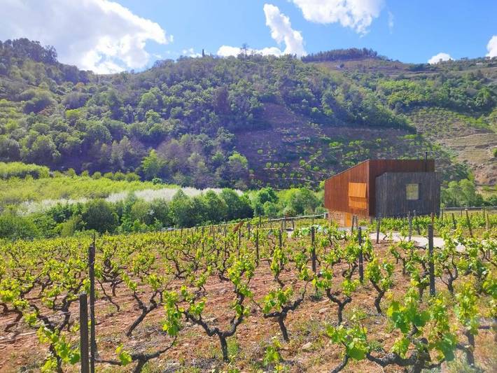 Location de vacances pour 8 personnes, avec piscine ainsi que vue sur le lac et jardin, animaux acceptés à Lamego - 3