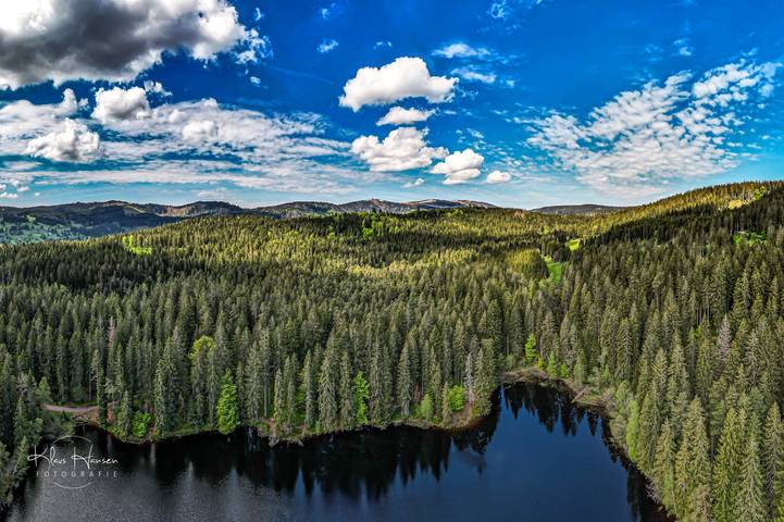 Ferienhaus für 10 Personen, mit Garten, kinderfreundlich in Schluchsee - 2