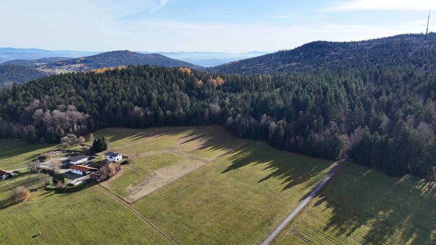 Ferienhaus für 5 Personen, mit Garten und Terrasse, mit Haustier in Schöfweg - 3