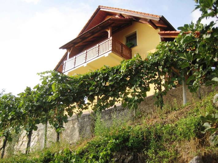 Location de vacances pour 4 personnes, avec Balcon et Jardin dans Novo mesto - 2