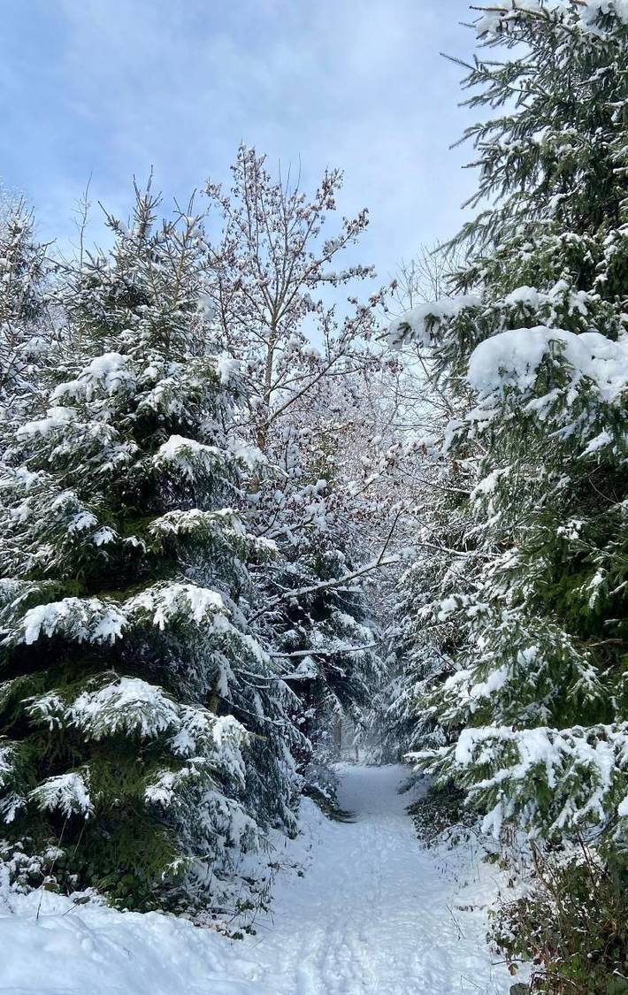 Ferienhaus für 6 Personen, mit Garten und Balkon in Kanton Freiburg - 3