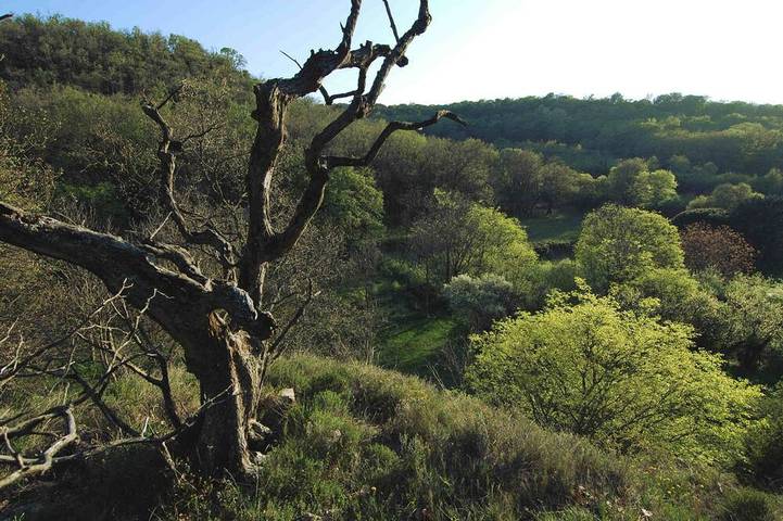 Ferienhaus für 6 Personen - 1