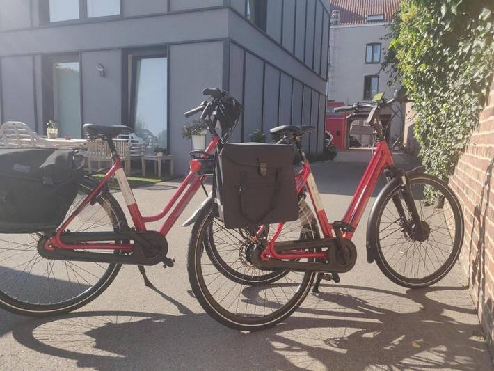 Hôtel pour 4 personnes, avec terrasse, animaux acceptés à Tirlemont - 4