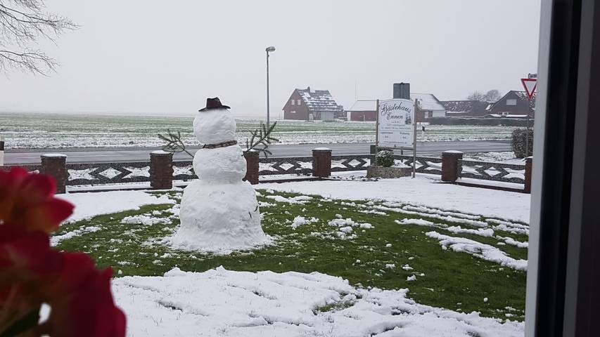 Ferienhaus für 2 Personen, mit Garten in Ostfriesland - 2