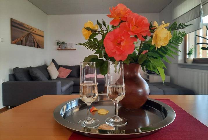 Ferienwohnung für 5 Personen, mit Balkon und Ausblick in Langenau
