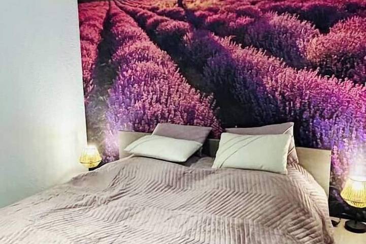 Appartement entier, L'univers Provençal au coeur de Mulhouse in Mulhouse, Région de Mulhouse