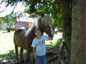 Bauernhof für 3 Personen in Vorderstoder, Steyr-Kirchdorf, Bild 3