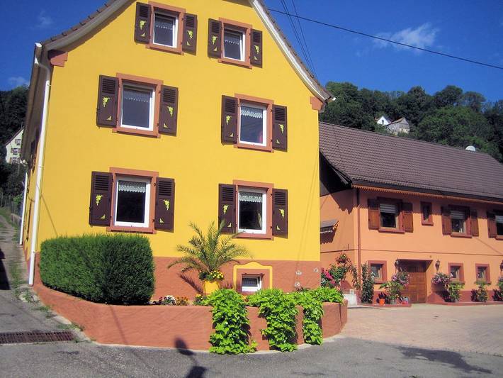 Gîte pour 12 personnes, avec terrasse dans Schnepfenried - 3