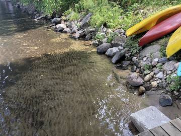 Cottage for 9 Guests in Algonquin Provincial Park, Picture 2