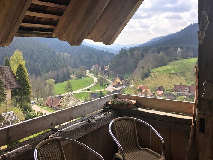 Charmantes, einladendes Ferienhaus in toller Natur in Reinerzau, Alpirsbach