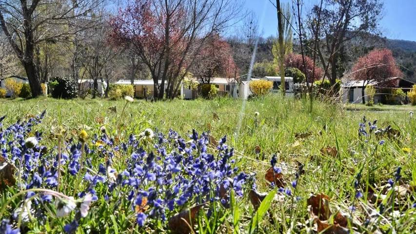 Camping für 6 Personen, mit Pool und Terrasse in Alpes-de-Haute-Provence - 2