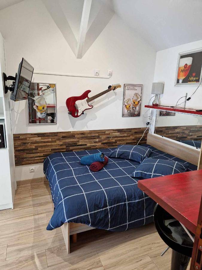 Appartement entier, 07 - Joli studio avec clim tout équipé avec un lit double, vue sur jardin, parking privatif gratuit, grand fourgon possible, tout le linge de maison est fourni in Razac-sur-l'Isle, Périgord Blanc