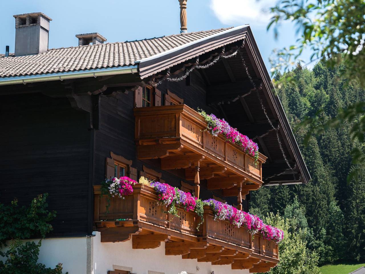 Das Glaagut - Familie Hain - Ferienhaus in Hochfilzen, Saalbach-Hinterglemm