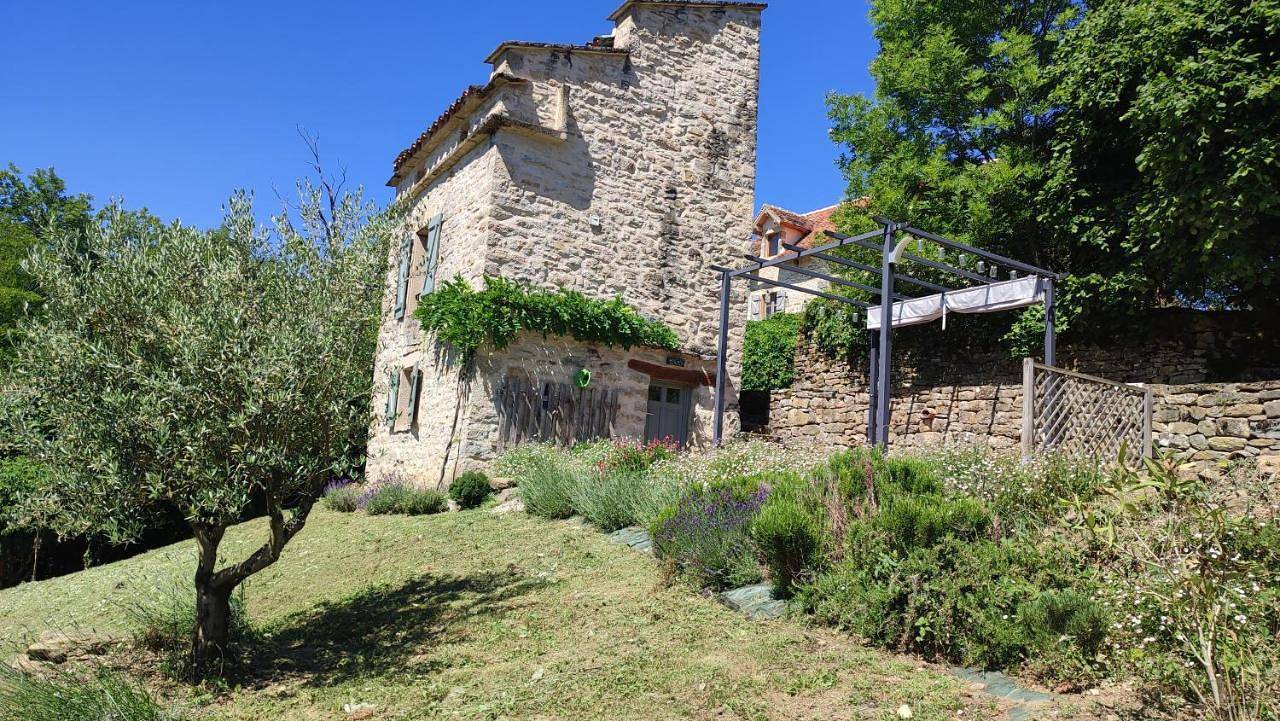 One-Bedroom House in Caylus, Tarn-et-Garonne