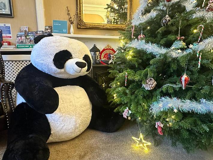 Chambre d’hôte pour 4 personnes, avec jardin à Torquay - 3