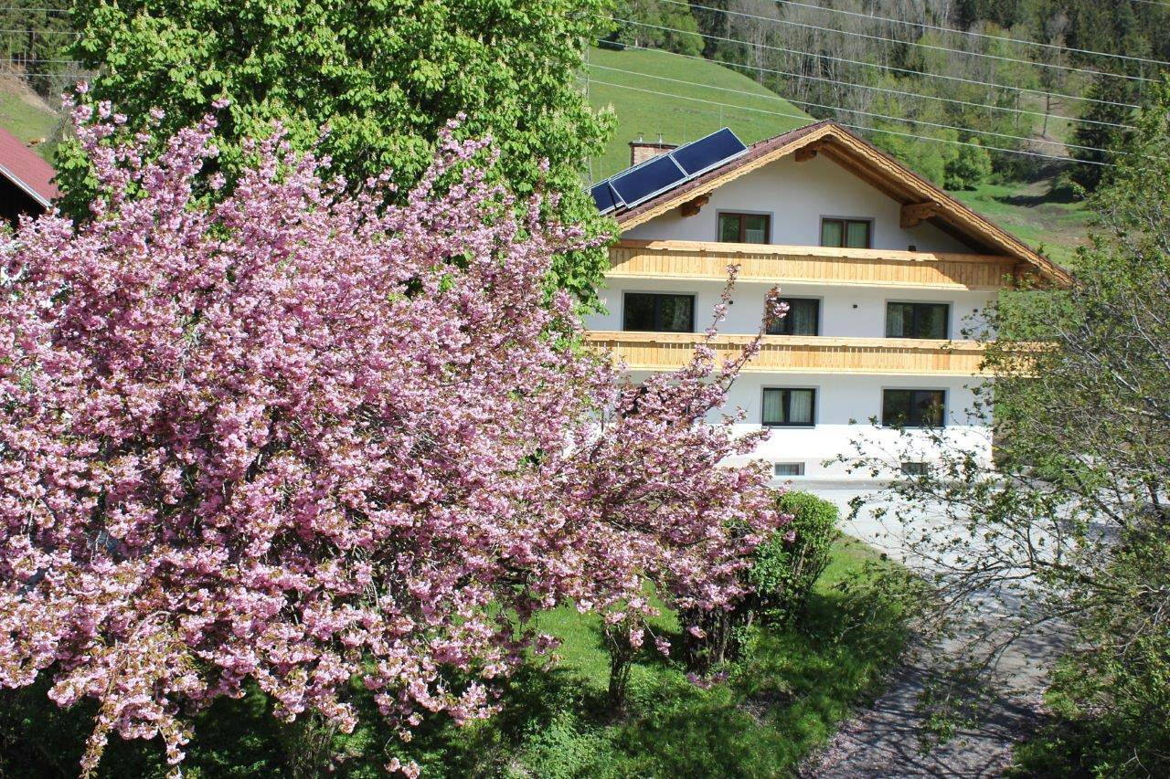 Doppelzimmer in Schladming, Schladming-Dachstein